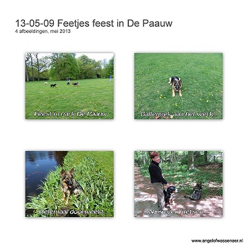 Feetjes feest in park De Paauw